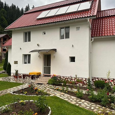 Pensiunea Marydor Gîrda de Sus Екстериор снимка